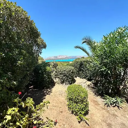 Stunning Sea View In A Private Setting * Stintino